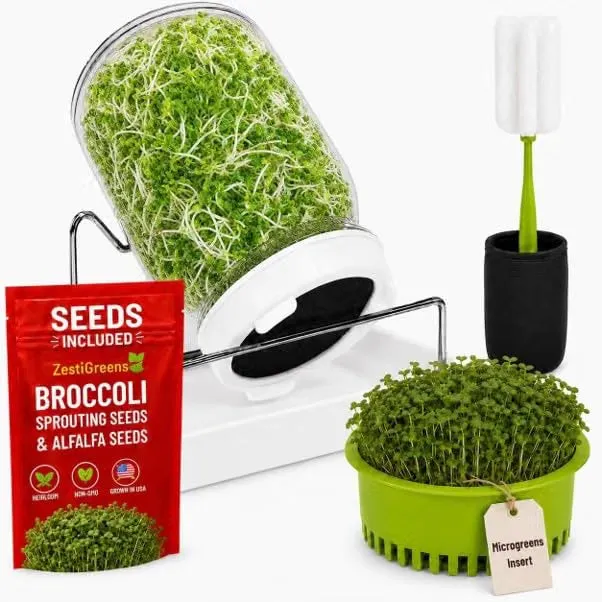 ZestiGreens Broccoli Sprouts Growing Kit with mason jar on stand, drain tray and seed packets