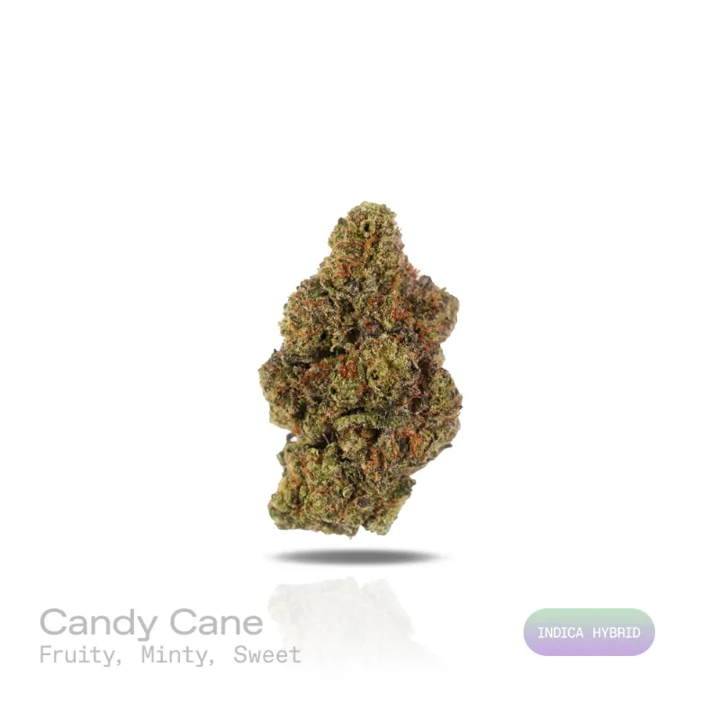 Hipuffy Candy Cane THCa Flower (Indoor) (Indica Hybrid) showing dense green and purple buds with orange pistils