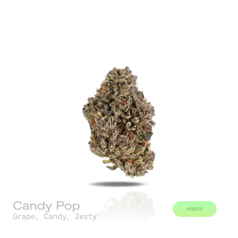 Hipuffy Candy Pop THCa Flower Exotic Hybrid buds with purple hints and orange pistils