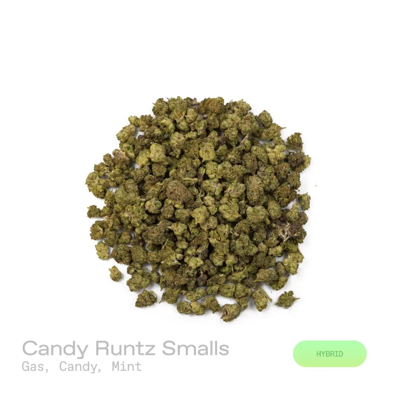 Hipuffy Candy Runtz THCa Flower Exotic Hybrid small buds with purple accents