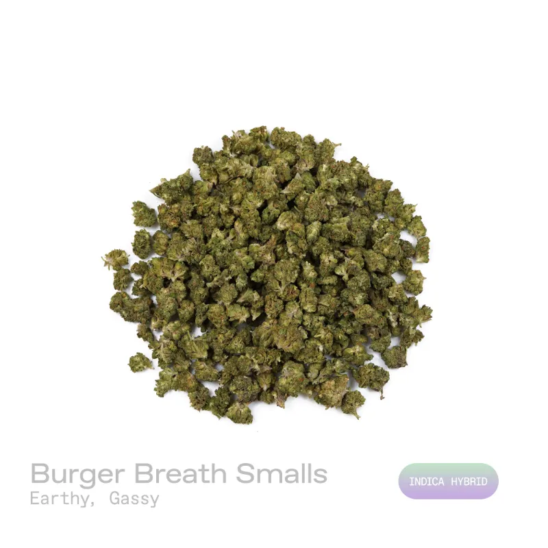 Hipuffy Burger Breath THCa Flower (Indoor) (Indica Hybrid) showing dense green buds with orange pistils