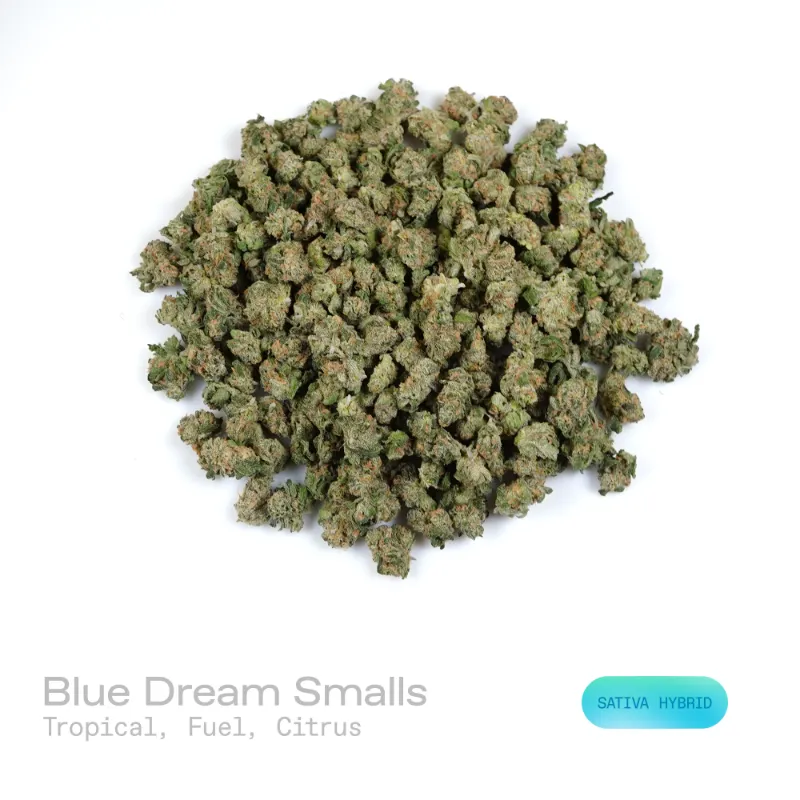 Hipuffy Blue Dream THCa Flower (Exotic) (Sativa Hybrid) showing small dense green and purple cannabis buds