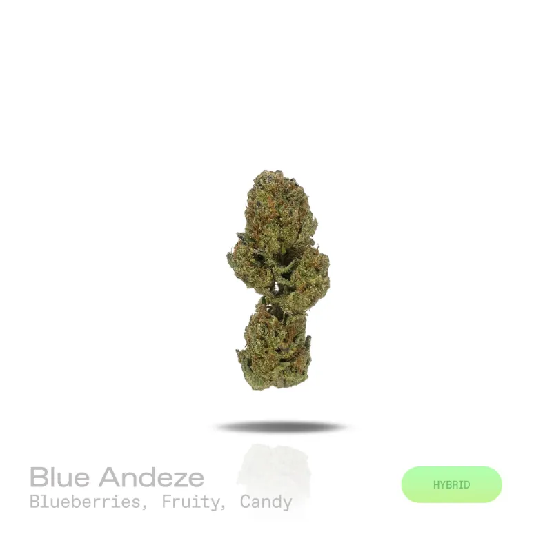 Hipuffy Blue Andeze THCa Flower indoor hybrid buds