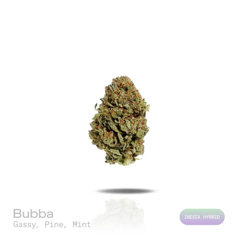 Hipuffy Bubba THCa Flower (Indoor) (Indica Hybrid) dense green and purple buds with orange pistils