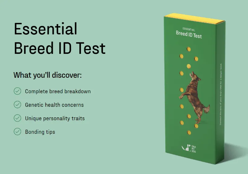 Affordable Pet Labs Essential Breed ID Test for Dogs cheek swab kit with purple storage tube