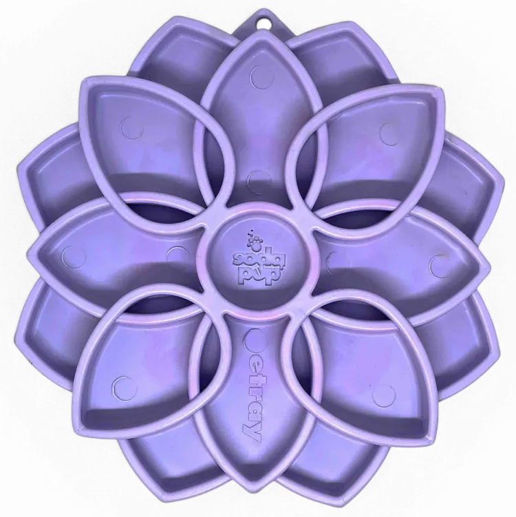Soda Pup Mandala Softie eTray shallow slow feeder bowl with suction cups