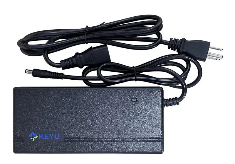 Qiolor Charger for 48V electric bike batteries, USA standard plug