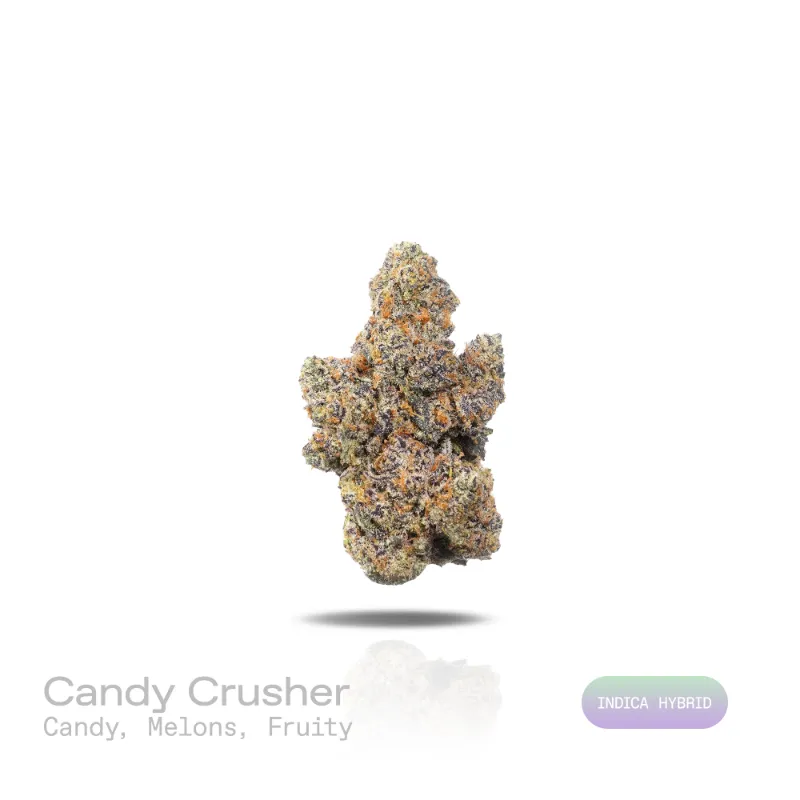 Hipuffy Candy Crusher THCa Flower (Exotic) (Indica Hybrid) showing dense green buds with purple hues and orange pistils
