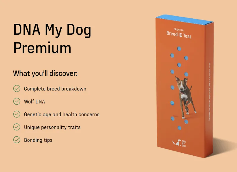 Affordable Pet Labs Premium Breed ID DNA Test for Dogs showing cheek swab kit contents