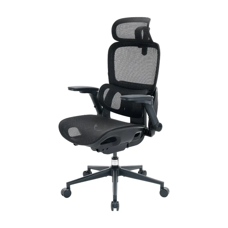 Sihoo B300 Pro Ergonomic Office Chair with 4D Lumbar Support featuring adjustable backrest and breathable mesh