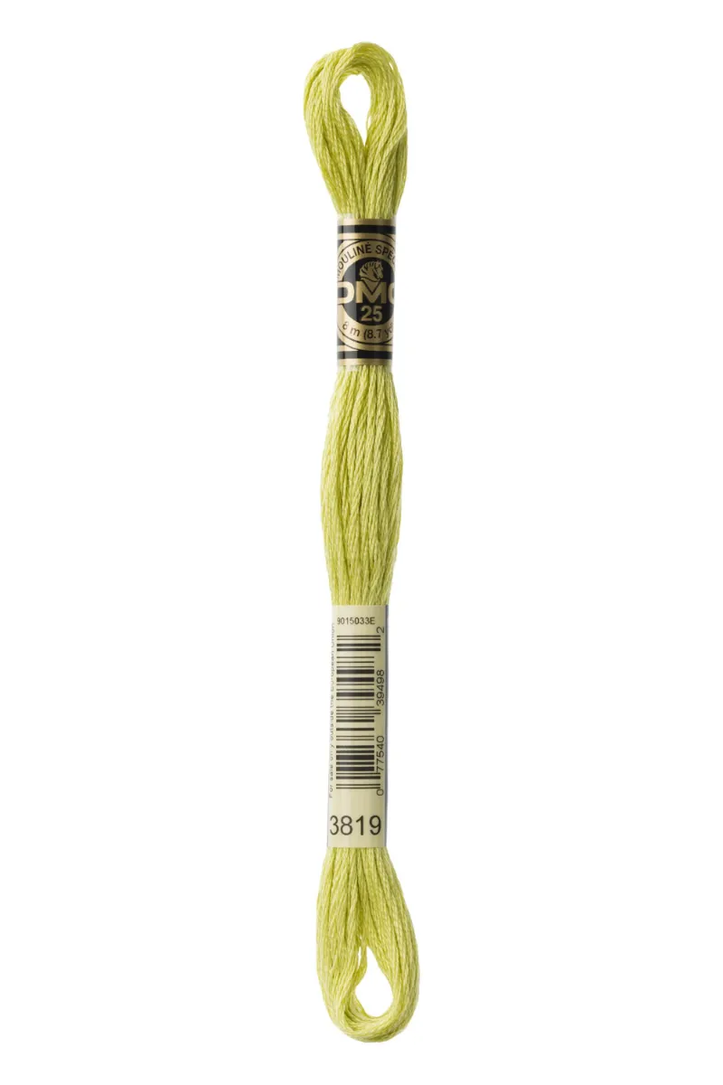 LETISTITCH DMC Mouliné Spécial 117MC-E_3819 embroidery thread skein in Aurous Green