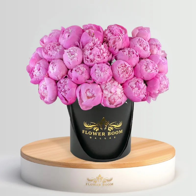 Flower Boom Dallas Pink Peonies In A Box with fresh seasonal peonies arranged in an elegant box