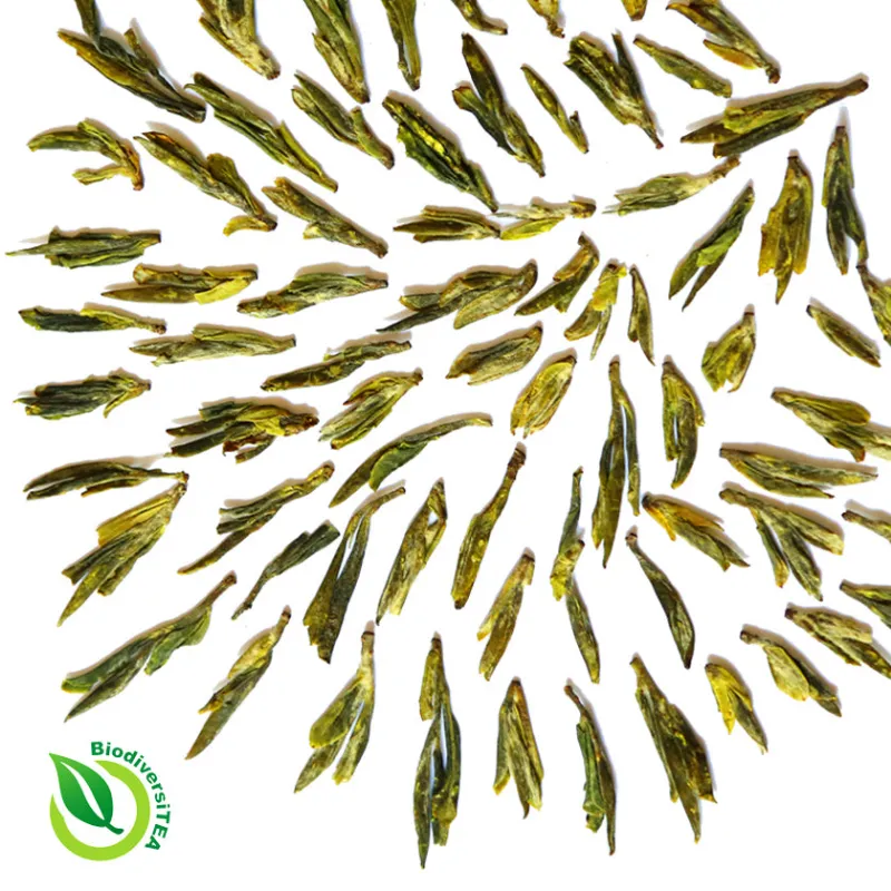 Wild Tea Qi Artisan Yunnan Longjing Green Tea flat leaves in Dragon Well style