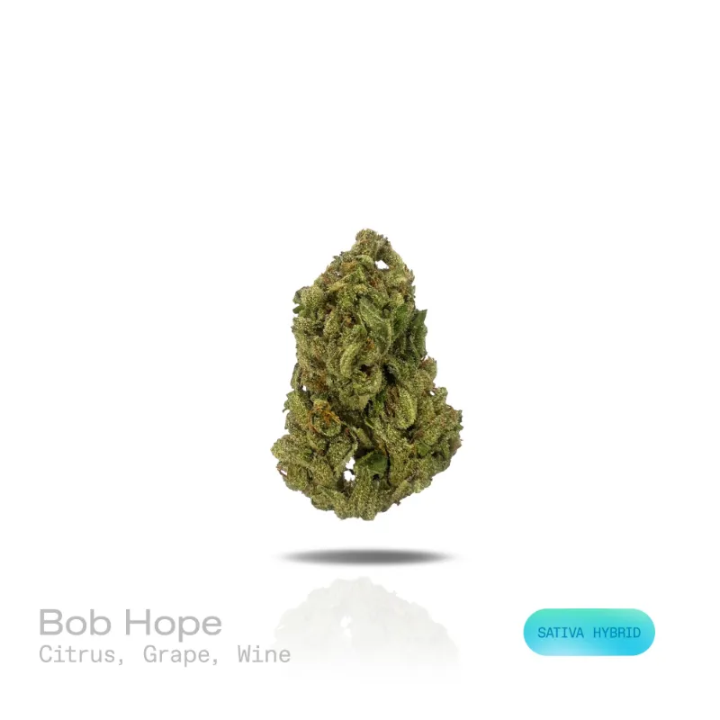 Hipuffy Bob Hope THCa Flower (Indoor) (Sativa Hybrid) dense green and purple cannabis buds with orange pistils