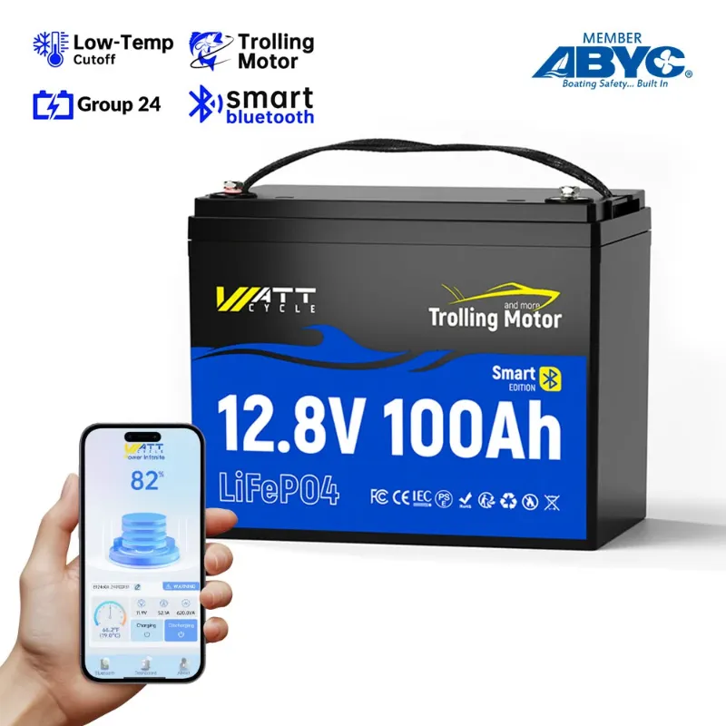 WattCycle 12V 100Ah TM Bluetooth LiFePO4 Battery with 120A BMS for trolling motors