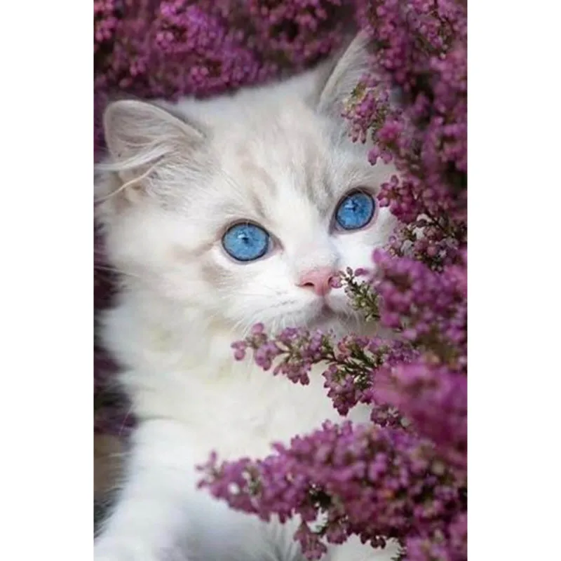 Varvikas 5D Diamond Painting 20×30 cm, Hiding in Lilacs showing white kitten peeking through purple flowers