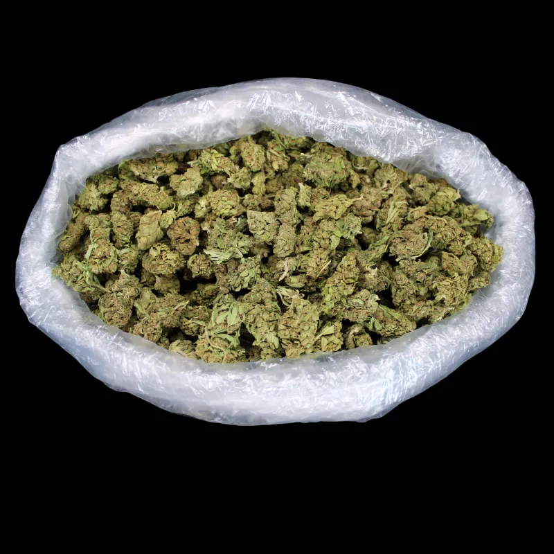 THCA Small Buds OG Kush THCA Autoflower greenhouse buds