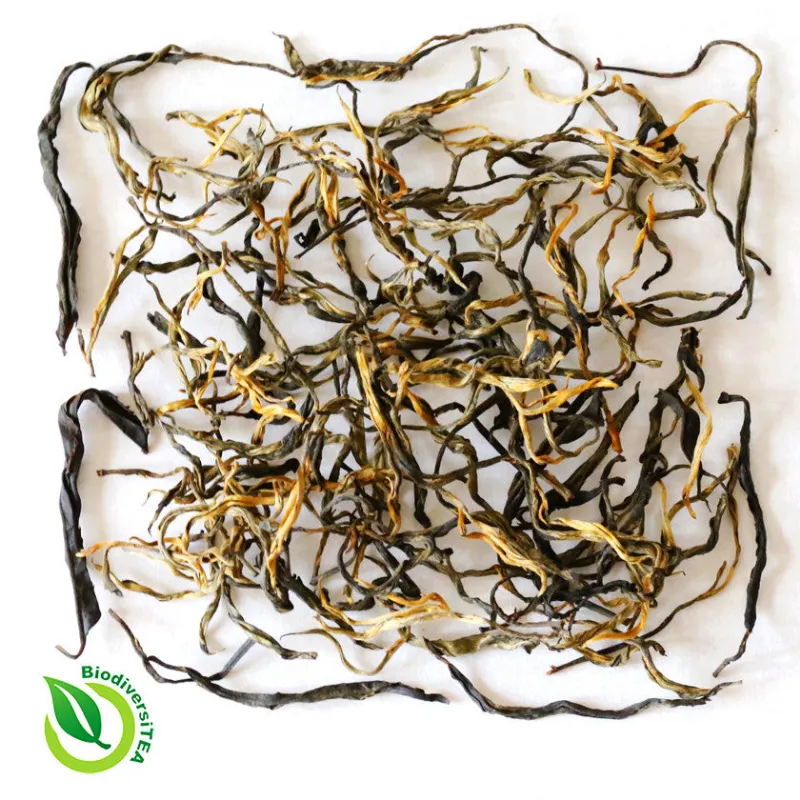 Wild Tea Qi Ancient Artisan Yunnan Black Tea loose leaf from centuries-old trees