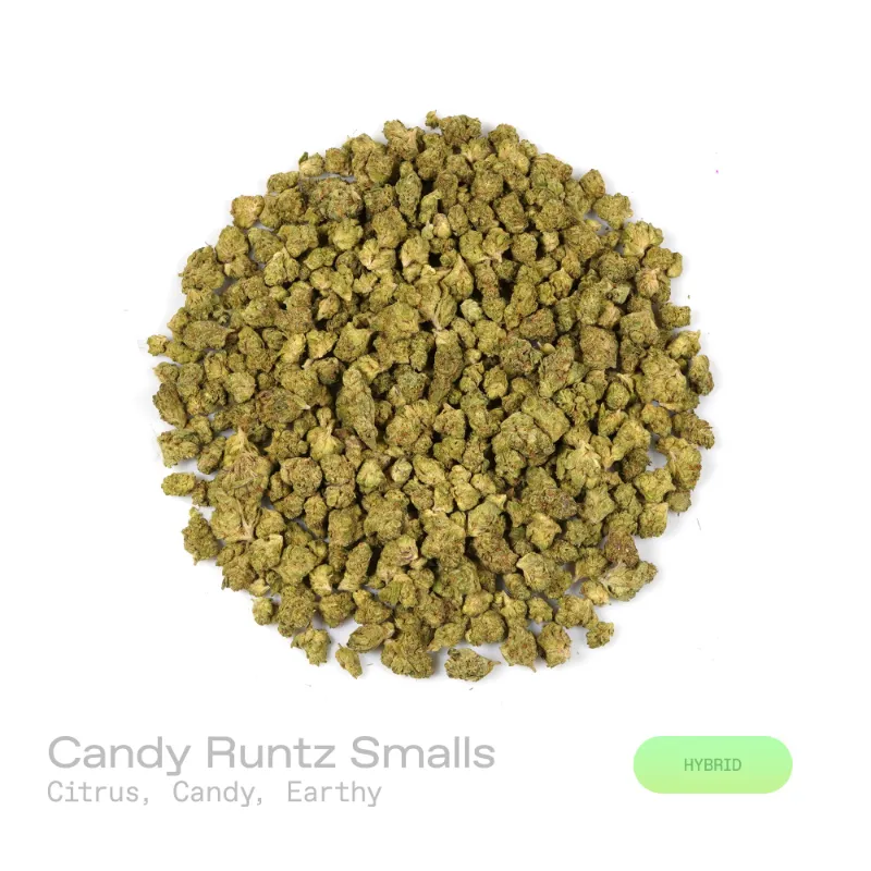 Hipuffy Candy Runtz THCa Flower (Indoor) (Hybrid) showing dense purple-tinged buds with orange pistils