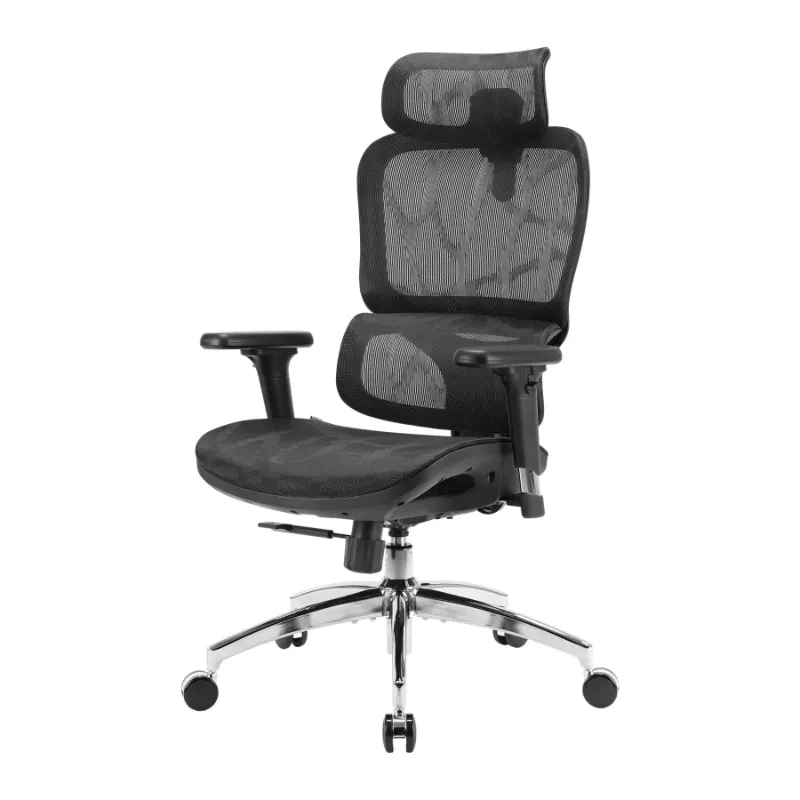 Sihoo M56B Dual-Back Ergonomic Office Chair with wide curved backrest and dynamic lumbar support