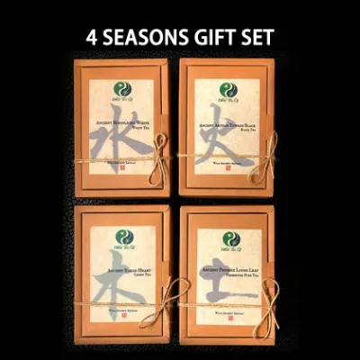 Wild Tea Qi 4 Seasons Tea Gift Set with four different tea packages arranged together