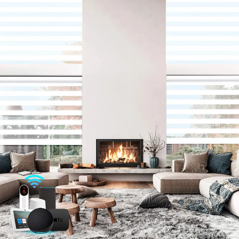 Bringnox Motorized Zebra Roller Blinds 100% Blackout window shade