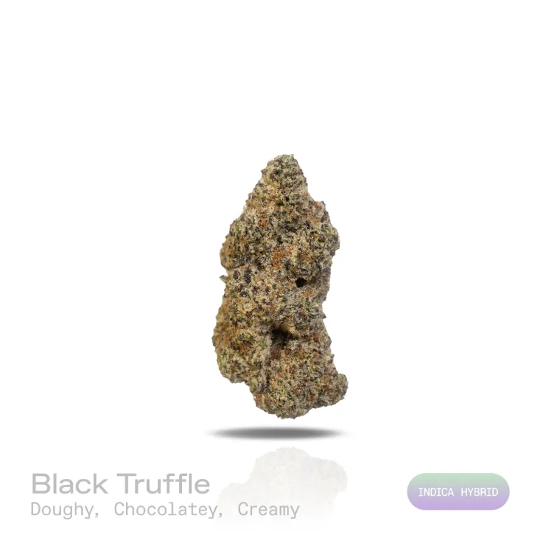 Hipuffy Black Truffle THCa Flower (Exotic) (Indica Hybrid) showing dense dark green to purple buds with orange hairs and frosty trichomes