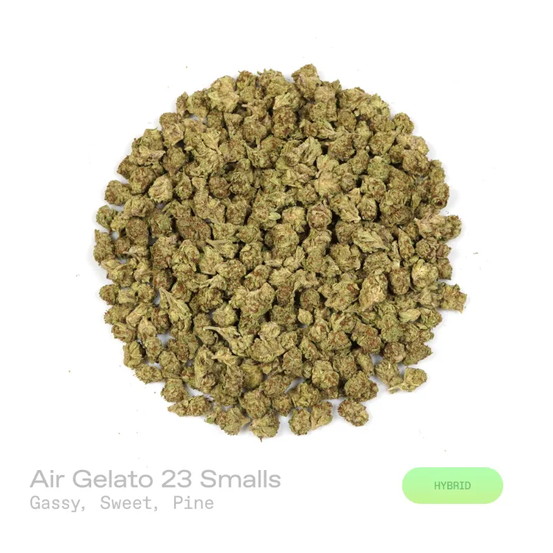 Hipuffy Air Gelato 23 THCa Flower indoor hybrid smalls with purple hues and orange pistils