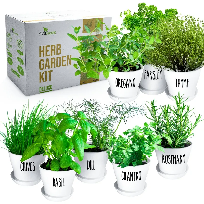 ZestiGreens 8 Herb Garden Kit with labeled pots, soil discs, seed packets and growing guide on white surface