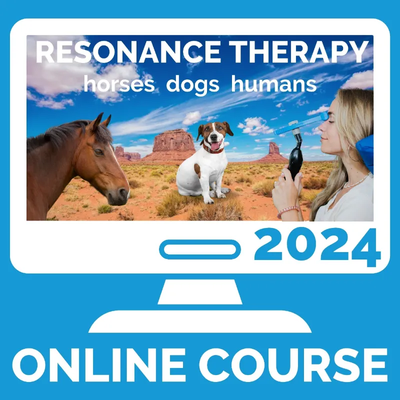 Rezzimax Hideaway Conference 2024 online course for animal treatment