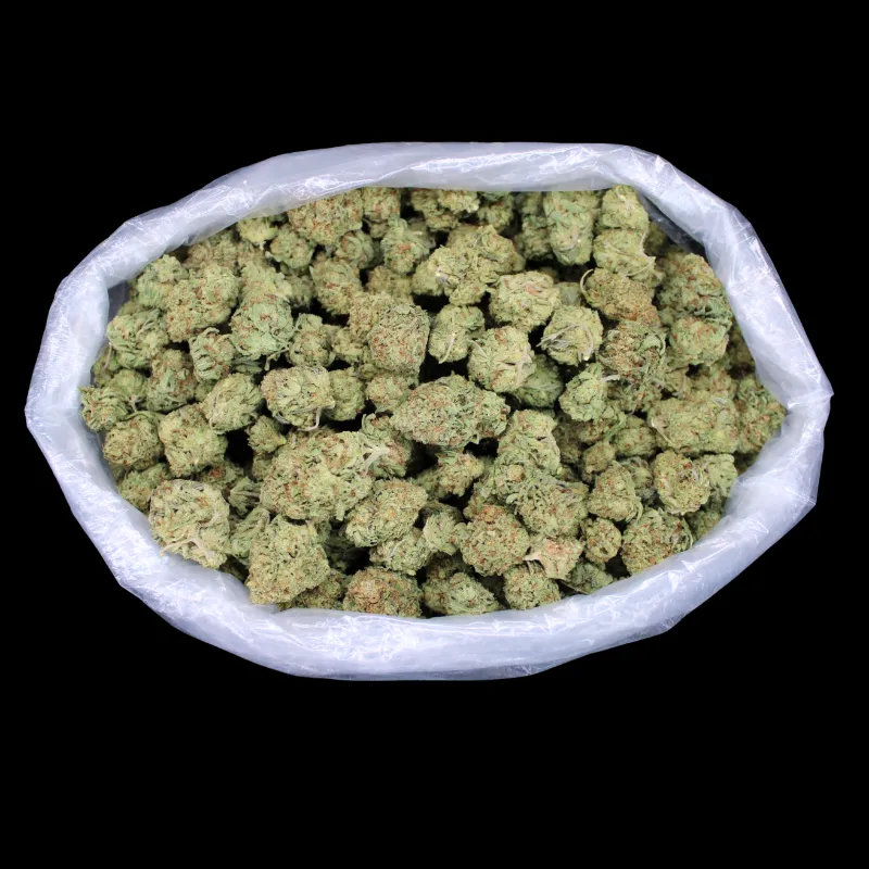 THCA Small Buds Candy Gas THCA Flower fresh greenhouse-grown cannabis buds