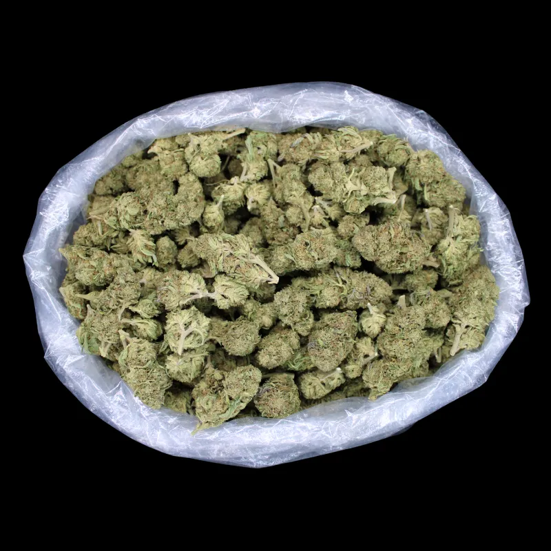 THCA Small Buds Papaya Dream THCA Flower greenhouse buds