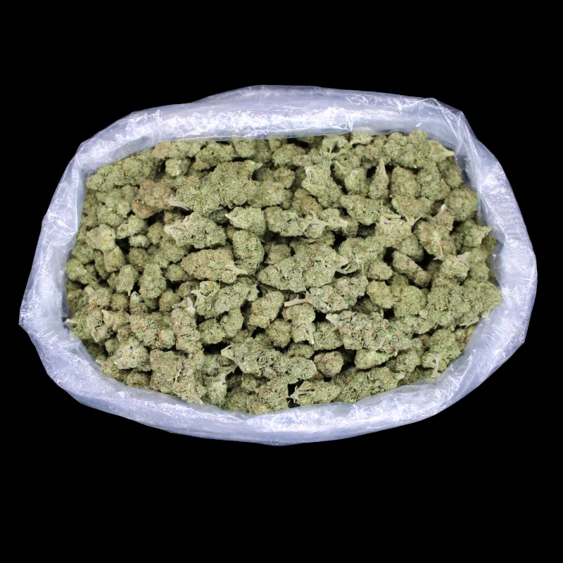 THCA Small Buds Gary Payton THCA Flower, fresh greenhouse buds in mylar bag