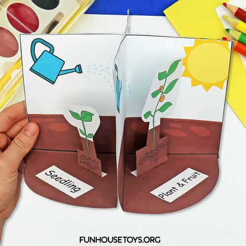 Fun House Toys Plant Life Craft Kit printable coloring pages for preschool and kindergarten