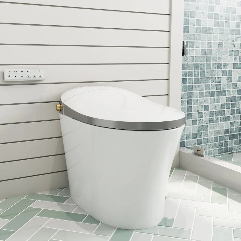 HOROW T20Y smart toilet showing tankless design and remote control