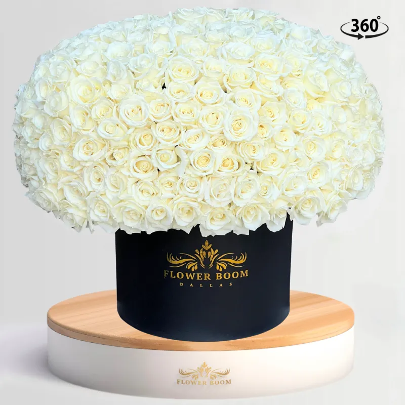 Flower Boom Dallas 300 White Rose Box with premium quality white roses in 360 degree arrangement