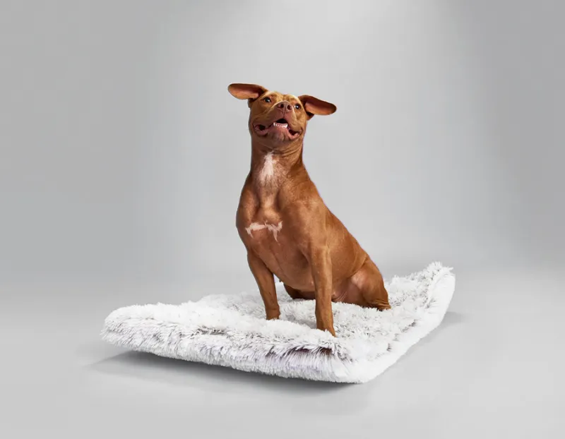 Found My Animal Arctic Shag Cozy Mat in soft white shag fabric
