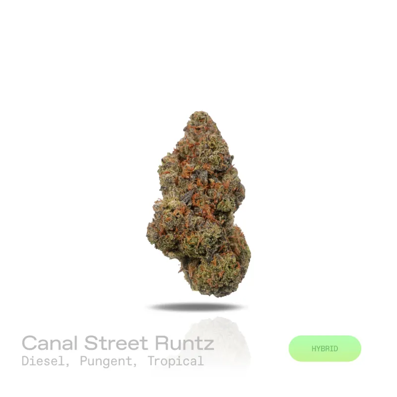 Hipuffy Canal Street Runtz THCa Flower (Exotic) (Hybrid) showing dense green and purple buds with orange pistils