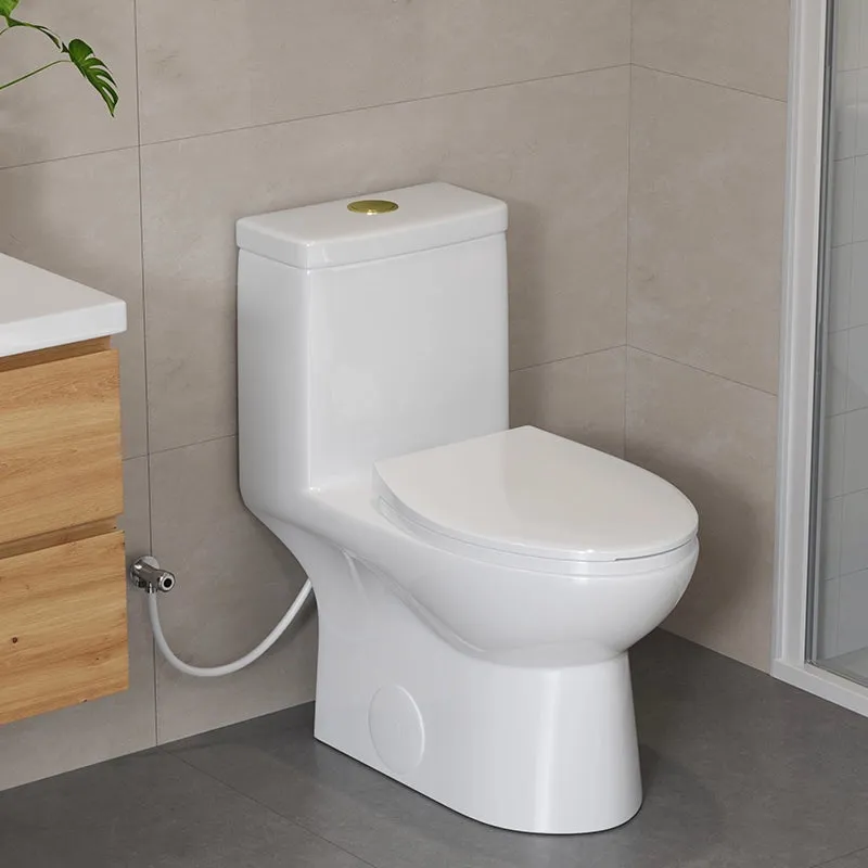 HOROW 12 Inch Modern Floor Mounted Toilet Model T0337W-G with gold flush button and soft-closing seat