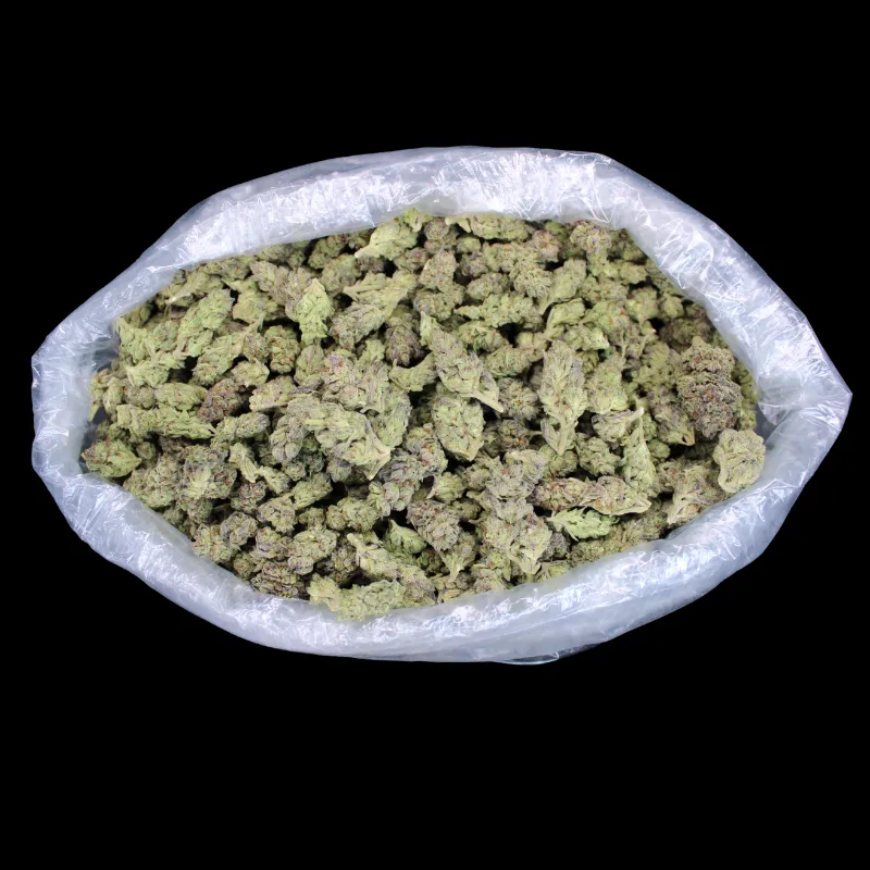 THCA Small Buds GDP THCA Flower, frosty purple indica hybrid greenhouse buds