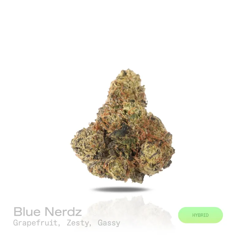 Hipuffy Blue Nerdz THCa Flower Premium Indoor Hybrid dense buds with green and purple coloring