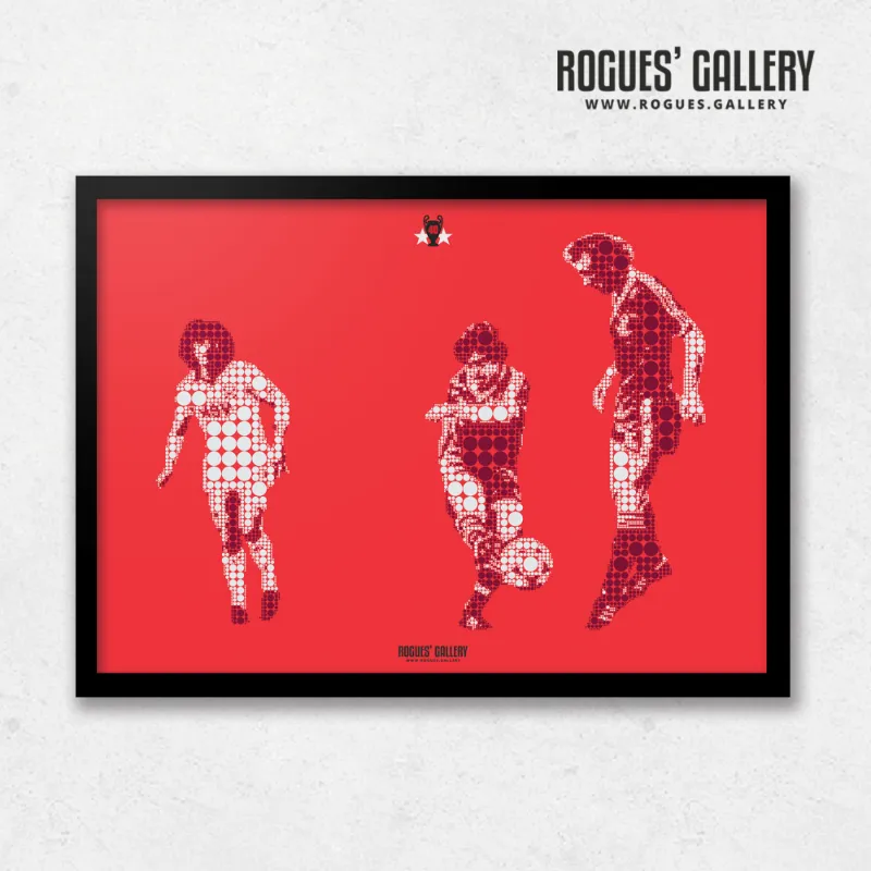 Rogues Gallery 40 Years On - Robbo's Goal: Dots - A3 Print with Robertson goal artwork