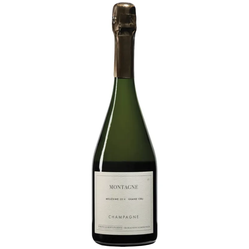 Mr.D Wine 2014 Domaine Fournois Montagne Verzy Grand Cru Champagne bottle