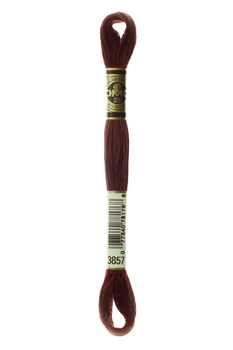 LETISTITCH DMC Mouliné Spécial 117MC-E_3857 embroidery thread skein in Oxblood