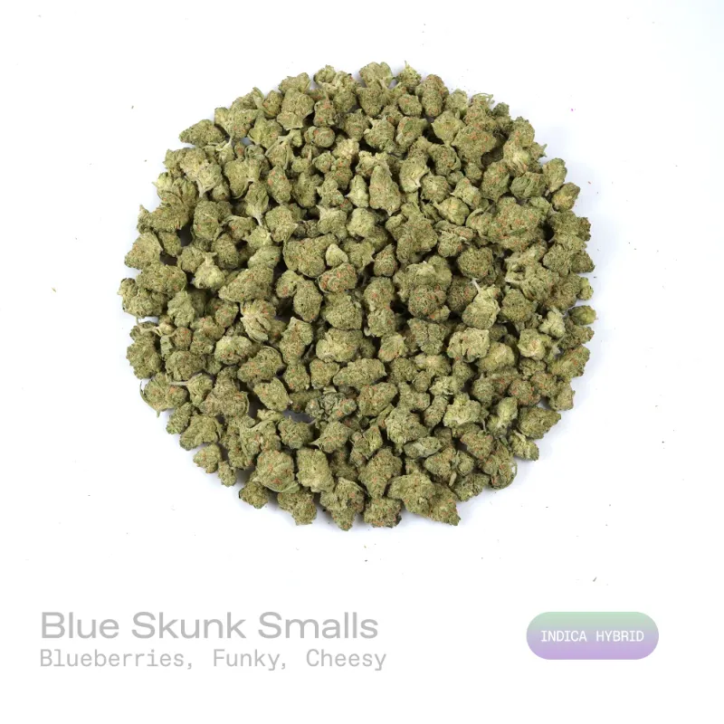Hipuffy Blue Skunk THCa Flower exotic indica hybrid small buds with purple hues