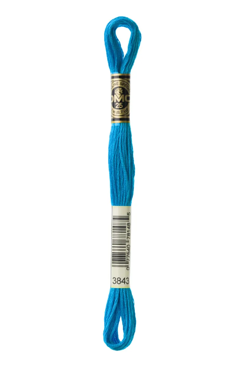 LETISTITCH DMC Mouliné Spécial 117MC-E_3843 embroidery thread skein in metallic pool blue