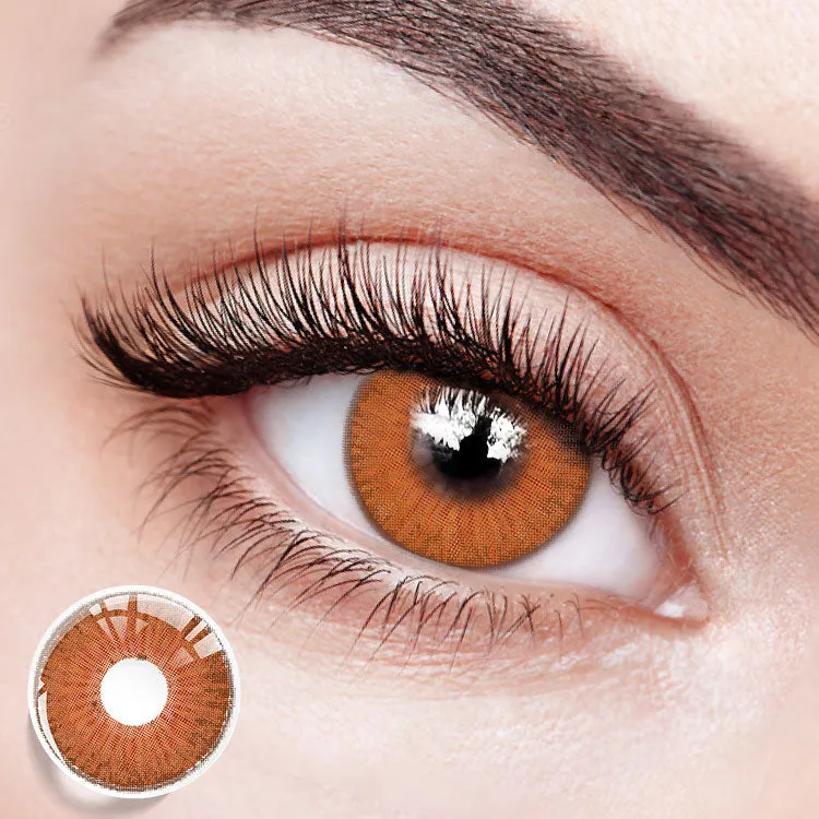 EYESFAV Dolly Brown 6 Months colored contact lenses with a warm, natural brown tint on a model's eye