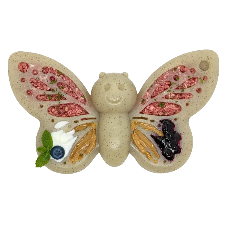 Soda Pup Butterfly Nylon Chew and Enrichment Toy 2-in-1 butterfly-shaped dog toy