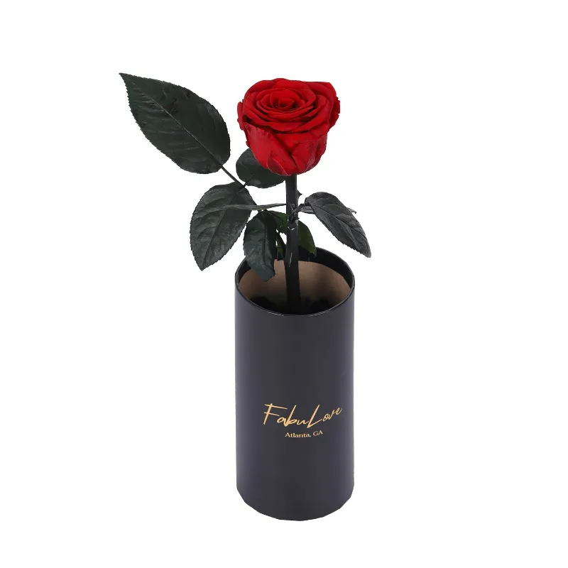 FabuLove Classic Single Eternal Rose in a display box
