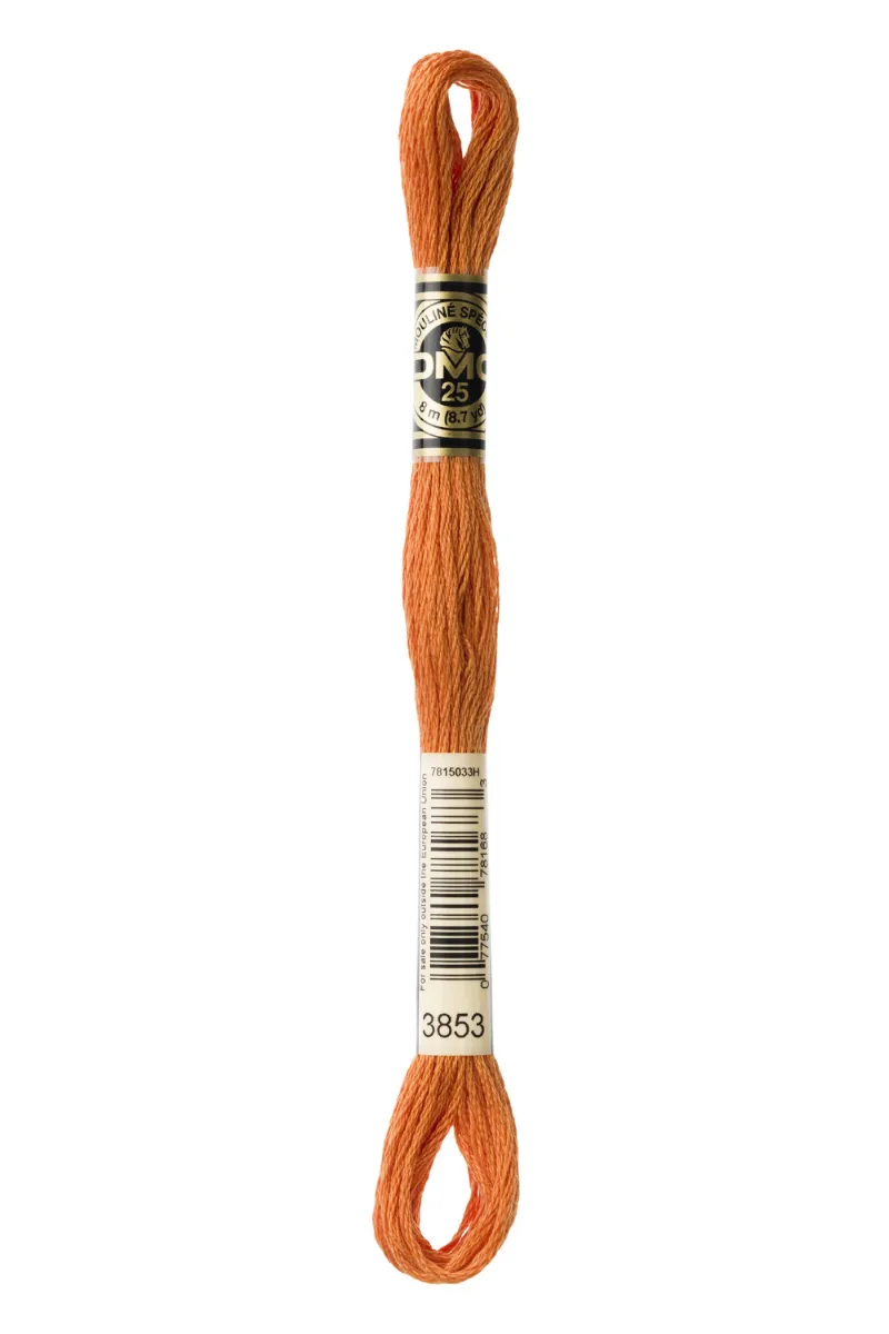 LETISTITCH DMC Mouliné Spécial 117MC-E_3853 embroidery thread skein in Copper